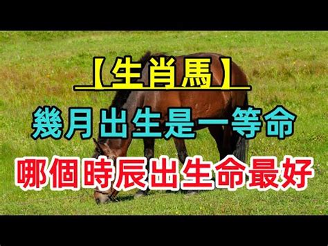 12生肖馬|屬馬今年幾歲｜屬馬民國年次、馬年西元年